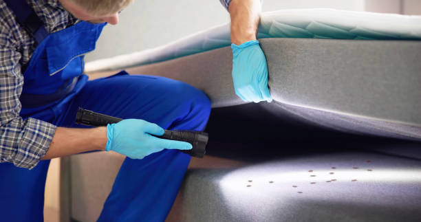 Best Flea Control Services  in Southern Pines, NC